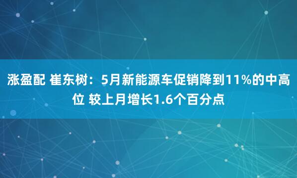 涨盈配 崔东树：5月新能源车促销降到11%的中高位 较上月增长1.6个百分点