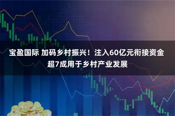 宝盈国际 加码乡村振兴！注入60亿元衔接资金 超7成用于乡村产业发展