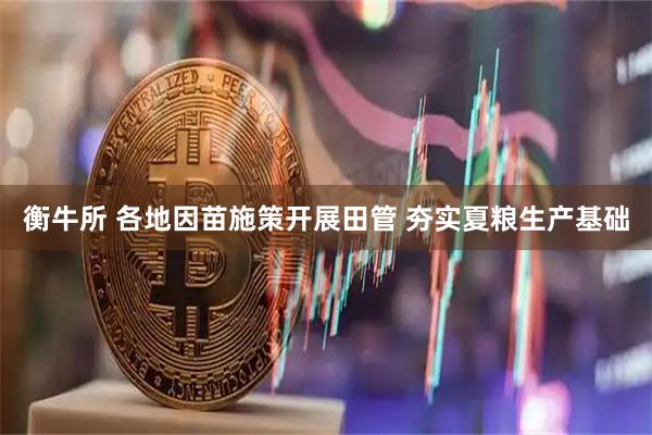 衡牛所 各地因苗施策开展田管 夯实夏粮生产基础