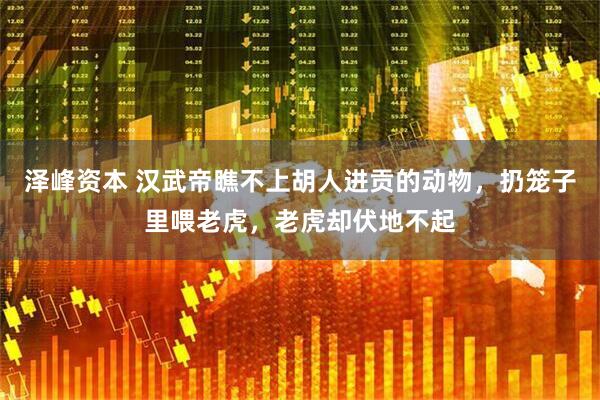 泽峰资本 汉武帝瞧不上胡人进贡的动物，扔笼子里喂老虎，老虎却伏地不起