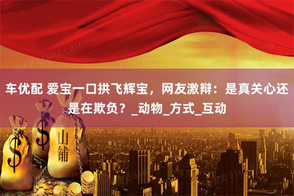 车优配 爱宝一口拱飞辉宝，网友激辩：是真关心还是在欺负？_动物_方式_互动